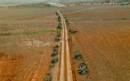 Freehold vs Leasehold Land in Kenya: What Buyers Must Know