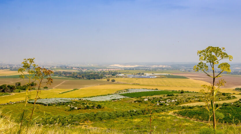 Best Places to Buy Land in Nairobi in 2025