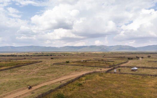 How to Buy Land in Kenya Safely: A Step by Step Guide – Sarabi Realty