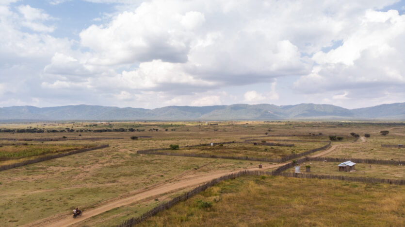How to Buy Land in Kenya Safely: A Step by Step Guide – Sarabi Realty
