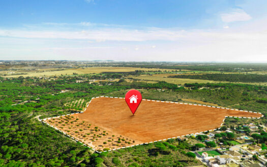 Serviced Plots vs Raw Land in Kenya: Which Should You Buy