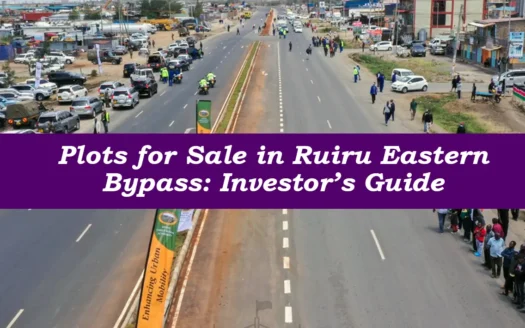 Plots for sale Eastern Bypass Ruiru commercial investor visit — Sarabi Realty